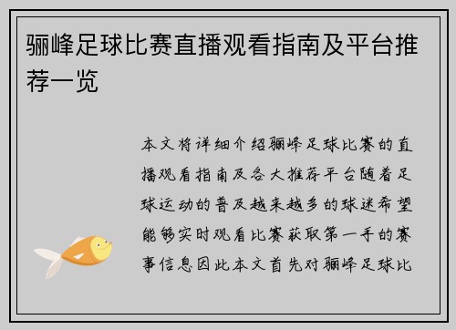 骊峰足球比赛直播观看指南及平台推荐一览